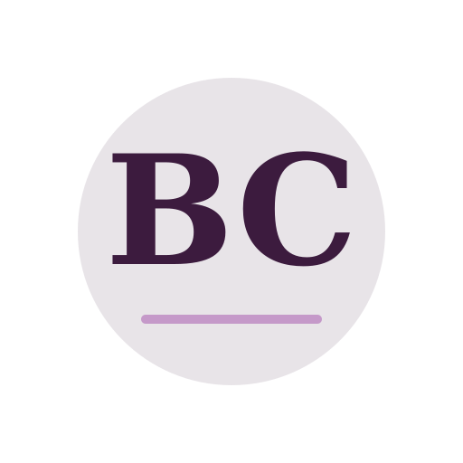 Baines Chimney Repair logo